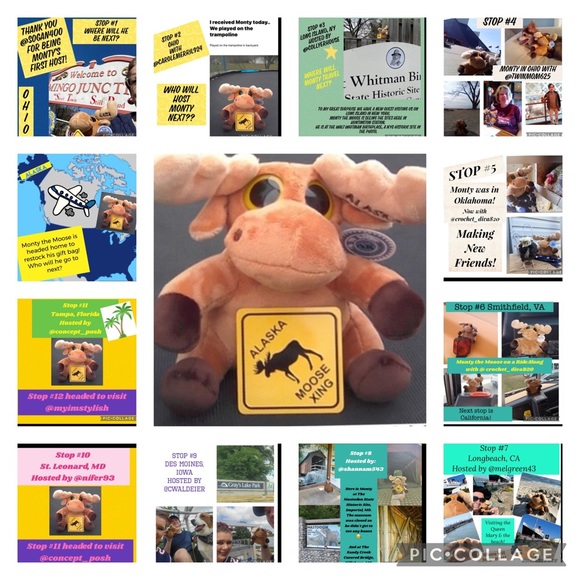 MONTY MOOSE TRACKING! Where in the Posh Universe is Monty Moose? - Picture 16 of 16